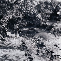 藏品(溪畔)的圖片