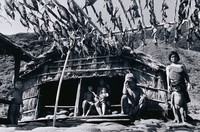 藏品(飛魚季)的圖片