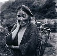 藏品(黥面原住民婦女)的圖片