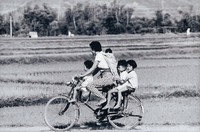 藏品(騎腳踏車的母子)的圖片