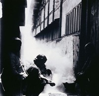 藏品(烘製龍眼乾)的圖片