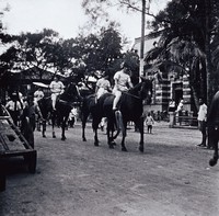 藏品(騎馬遊街)的圖片