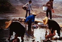 藏品(鄉土長卷 (五)洗)的圖片