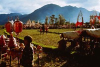 藏品(鄉土長卷 (八)醮)的圖片