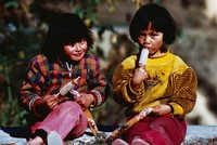 藏品(山地小女孩)的圖片