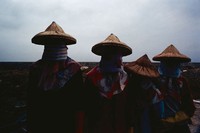 藏品(工作中的女人)的圖片