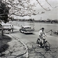 藏品(愛河風光)的圖片