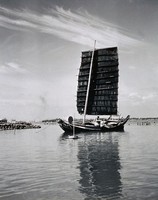 藏品(一帆風順的擺渡)的圖片