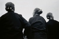 藏品(絕跡的髮景)的圖片