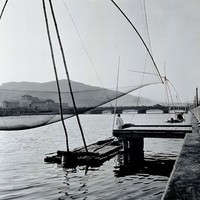 藏品(愛河一隅)的圖片