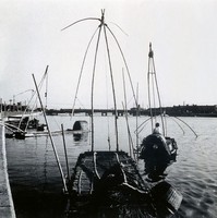 藏品(舊日愛河)的圖片