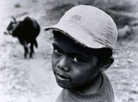 藏品(牧童)的圖片