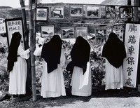 藏品(觀光客)的圖片