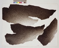 藏品(作品1989-25)的圖片