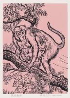藏品(獼猴親情(二))的圖片
