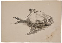 藏品(白鯧)的圖片