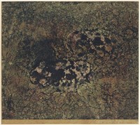 藏品(叢莽)的圖片