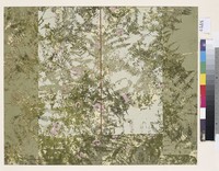 藏品(蕨草之歌  )的圖片