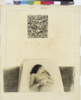 藏品(室內  )的圖片