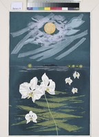 藏品(月光蝴蝶蘭 )的圖片