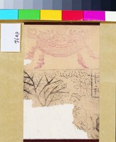 藏品(樹神)的圖片