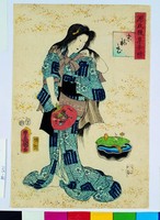 藏品(源氏下集續情-末摘花)的圖片