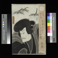 藏品(短篇系列)的圖片