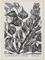 藏品(珊瑚刺桐花(七月花韻))的圖片