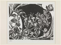 藏品(忍冬花(八月花韻))的圖片