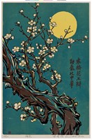 藏品(梅花)的圖片