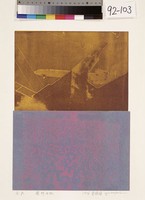 藏品(飛行世紀)的圖片