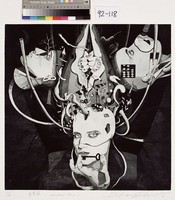 藏品(憂慮鎮)的圖片