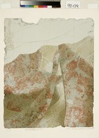 藏品(浪跡實驗林No.1)的圖片