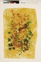 藏品(微風)的圖片