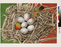 藏品(喜訊)的圖片