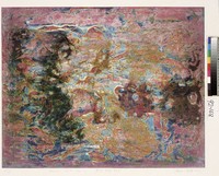 藏品(影彩/精靈/融合)的圖片