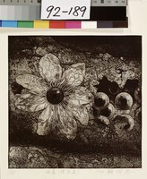 藏品(淡憂(憶宏達))的圖片