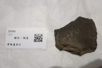 藏品(黑陶肩部片)的圖片