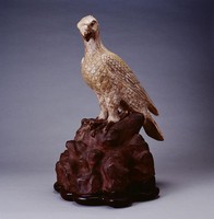 藏品(岩上鷹)的圖片