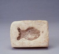 藏品(雙魚陶印模)的圖片