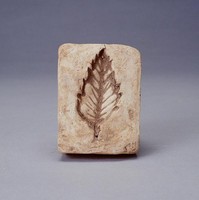 藏品(葉片陶印模)的圖片