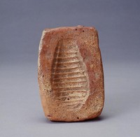 藏品(龜甲陶印模)的圖片