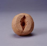 藏品(花卉陶印模)的圖片