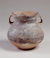 藏品(馬廠鋸齒點紋雙耳罐)的圖片