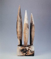 藏品(揚)的圖片