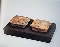 藏品(會)的圖片