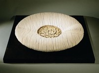 藏品(靜之動)的圖片