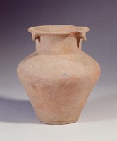 藏品(大汶口文化背壺)的圖片