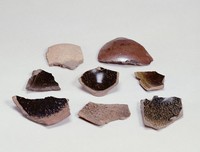 藏品(建陽窯瓷片)的圖片