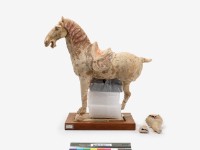 藏品(繪彩馬)的圖片